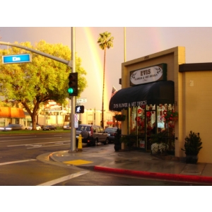 Evis Flowers & Art Design Glendale