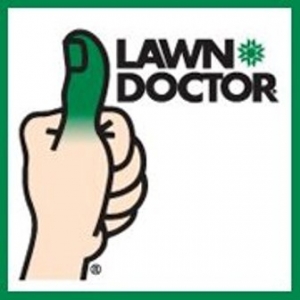 Lawn Doctor Landscaping Service Los Angeles