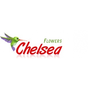 Chelsea Flowers Los Angeles