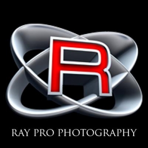 Ray Pro Photography Glendale
